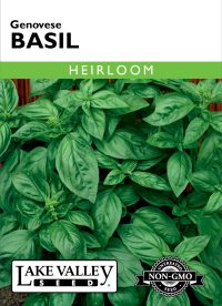 Basil Genovese - Item #8015