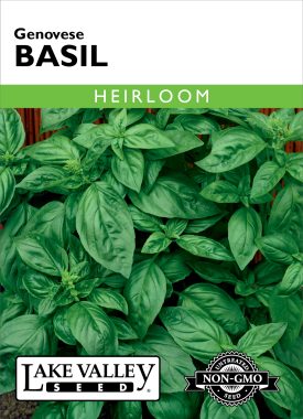 Basil Genovese - Item #8015