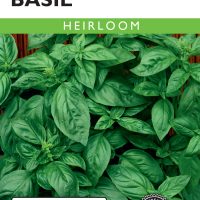 Basil Genovese - Item #8015