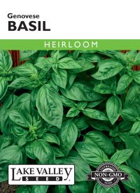 Basil Genovese - Item #8015