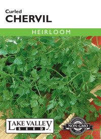 Chervil Curled - Item #82