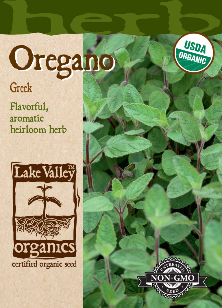 Oregano True Greek Item 855 Lake Valley Seed