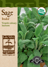 Sage Broadleaf - Item #856