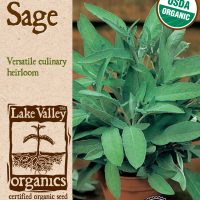 Sage Broadleaf - Item #856