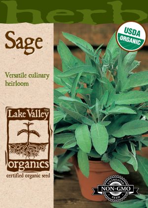 Sage Broadleaf - Item #856