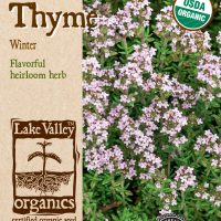 Thyme Winter - Item #857