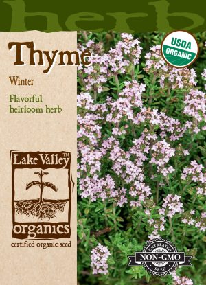 Thyme Winter - Item #857