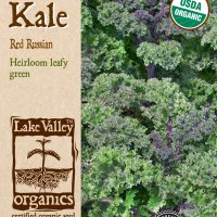 Kale Red Russian