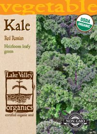 Kale Red Russian