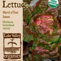 Lettuce Marvel Of Four Seasons