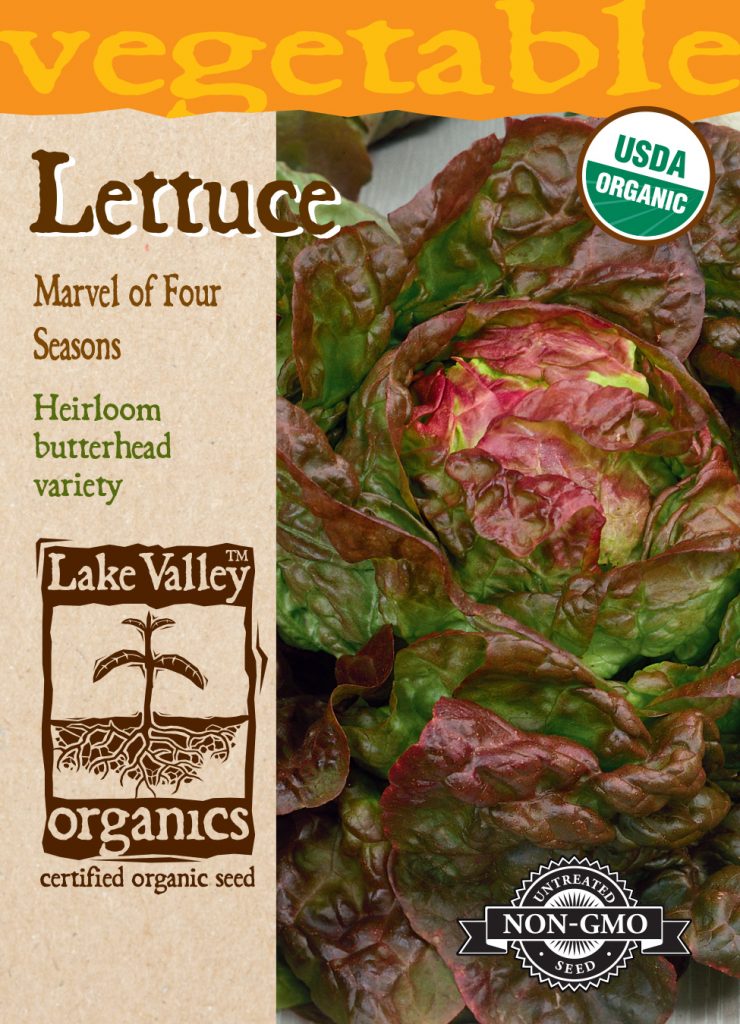 Lettuce Marvel Of Four Seasons Item 861 Lake Valley Seed