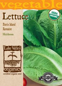 Lettuce Romaine Parris Island
