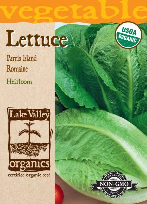 Lettuce Romaine Parris Island