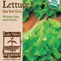 Lettuce Salad Bowl Green
