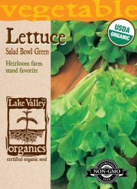Lettuce Salad Bowl Green