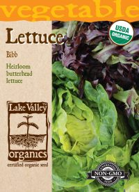 Lettuce Bibb - Item #864