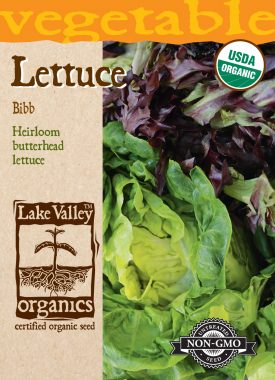 Lettuce Bibb - Item #864