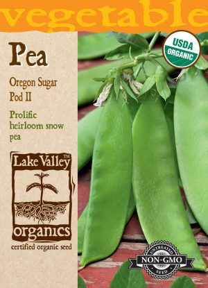 Pea Oregon Sugar Pod II