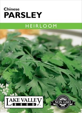 Parsley Chinese - Item #87