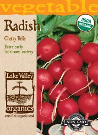 Radish Cherry Belle
