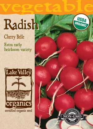 Radish Cherry Belle