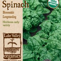 Spinach Bloomsdale Longstanding