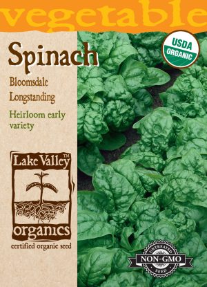 Spinach Bloomsdale Longstanding
