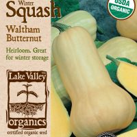 Squash (Winter) Waltham Butternut