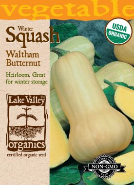 Squash (Winter) Waltham Butternut
