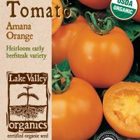 Tomato (Pole) Amana Orange
