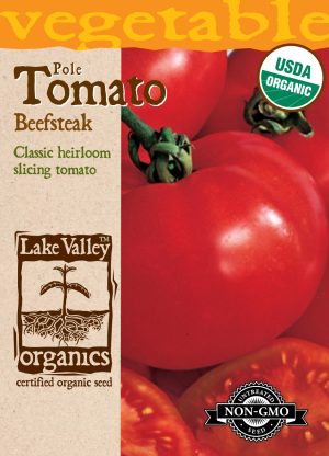 Tomato (Pole) Beefsteak