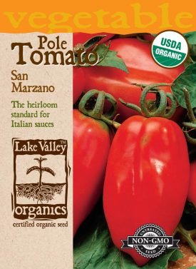 San Marzano Tomato