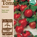 Pole variety Sweetie Tomato