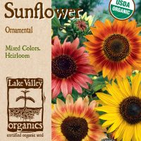 Sunflower Ornamental Dwarf