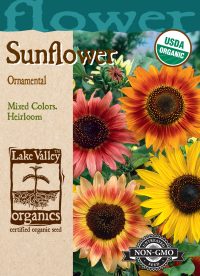 Sunflower Ornamental Dwarf