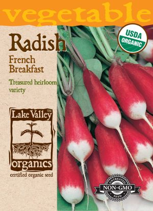 Radish French Breakfast