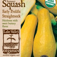 Squash (Summer) Early Prolific Straightneck