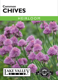 Chives Common - Item #90