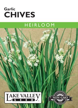 Chives Garlic - Item #91