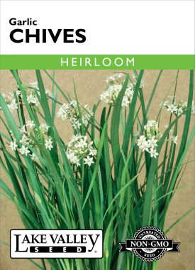 Chives Garlic - Item #91