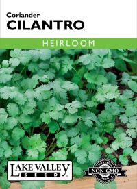 Cilantro (Coriander) - Item #93