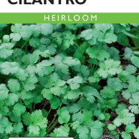 Cilantro (Coriander) - Item #93