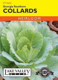Collards Georgia Southern