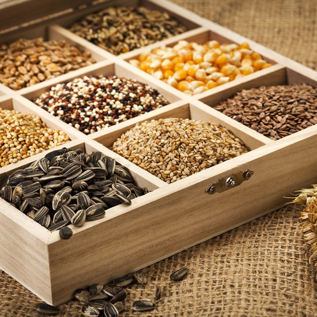 Seed Box