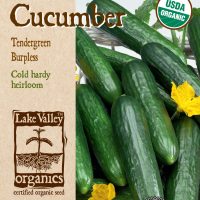 Cucumber Tendergreen Burpless