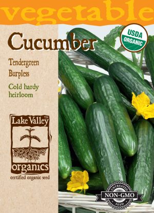 Cucumber Tendergreen Burpless