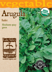 Arugula Rocket - Item #573