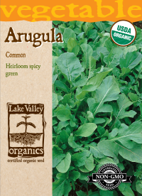 Organic Arugula Common