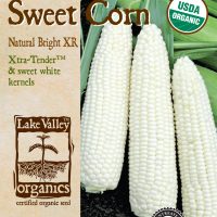 Corn Natural Bright