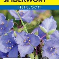 Spiderwort Prairie - Item #4681